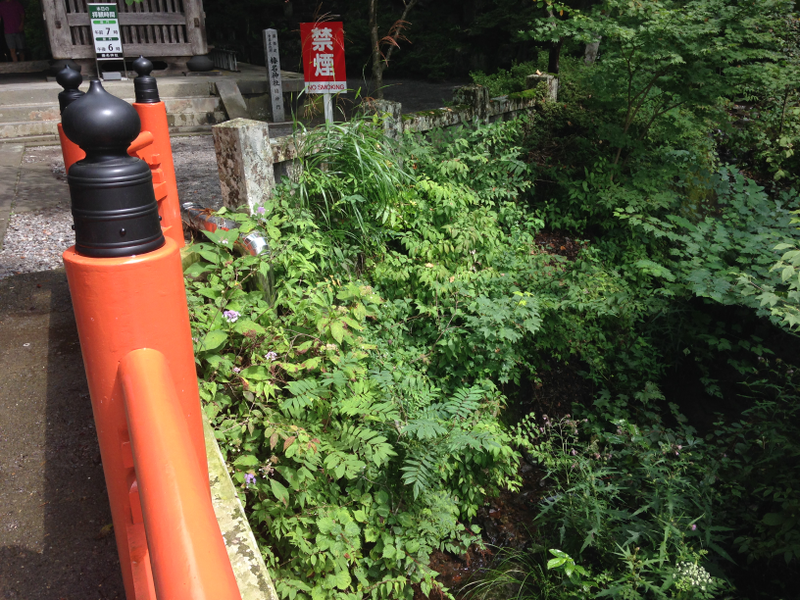 Illustration for article titled In Pursuit of Initial D: Driving The Real Mount "Akina"